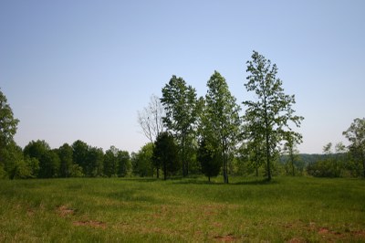 Pasture1.jpg