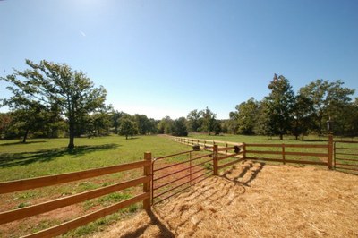 Barn pasture