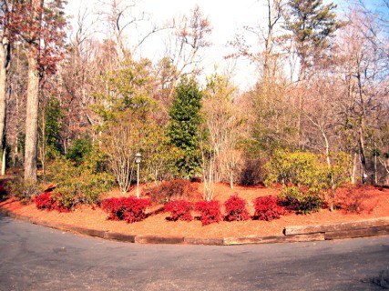 Propertylandscape.jpg