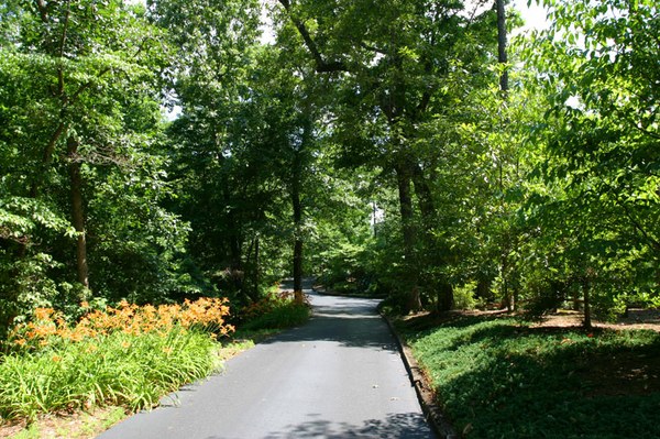 Drivewaysmall.jpg