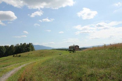 IMG_0834.jpg