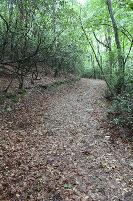 trail verticle