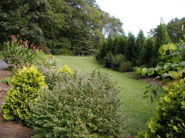 Tryon066.jpg