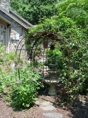 DSC01242.jpg