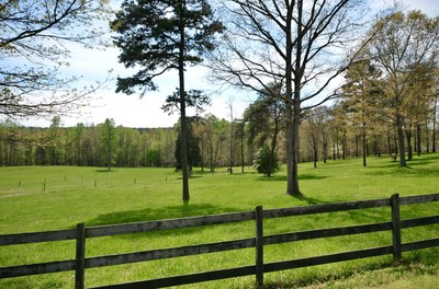 DSC_0340_resize.JPG
