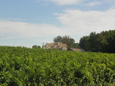 100_0569.JPG
