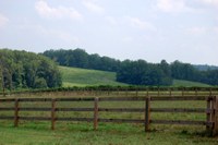 DSC_0156 -1024x768.JPG