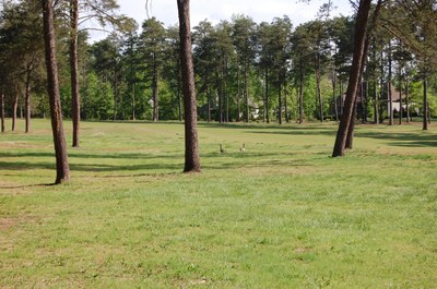 DSC_0390.JPG