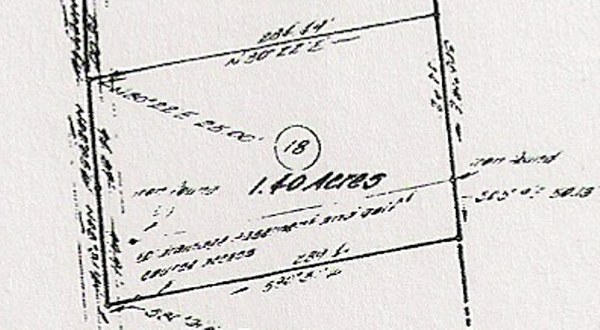 Lot 18 Red Fox.jpg