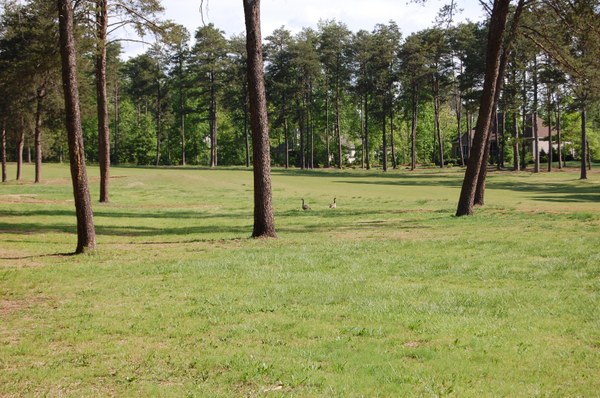 DSC_0390.JPG