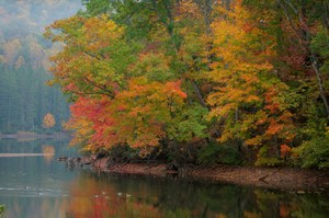 iStock_000014013579Small.jpg