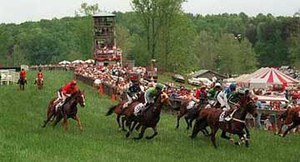 Summer and Horse Shows in Tryon