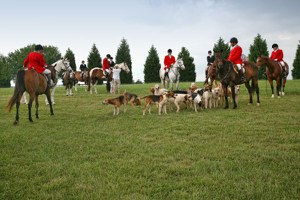 Summer Hunt Season Activities