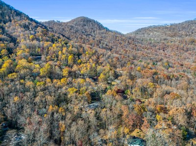 54 web or mls 305 Meadowlark 54