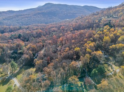 58 web or mls 305 Meadowlark 58