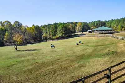 45 Henderson Rd Columbus NC 28782 68