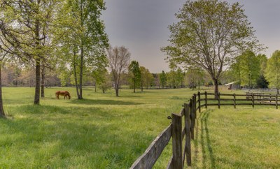 DSC 5062pasture