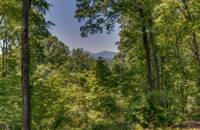 475 Bronze Ridge Dr Tryon NC 28