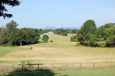 DSC_0253.JPG