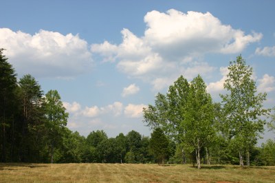 Front side pasture.JPG