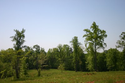 Lower R Pasture.jpg