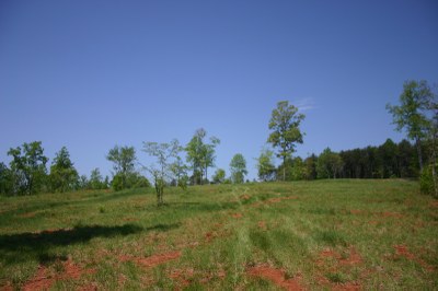 Pasture2.jpg