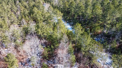 RemoteMediaFile 6554118 0 2022 01 23 11 49 58