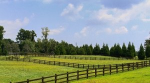 Derbyshire Community Stable Front Pastures