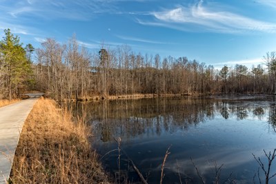 339 Lyles Pond Rd Rutherfordton NC  26