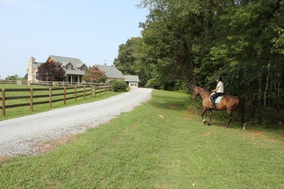 Horse riding in-1024x768.JPG