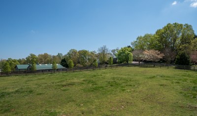 DSC 1509