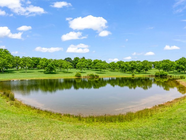 1480 Airport Rd Rutherfordton NC 66