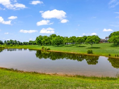 1480 Airport Rd Rutherfordton NC 67