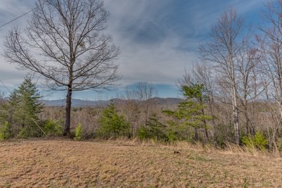 141 CL Conner Trail Rutherfordton NC 5