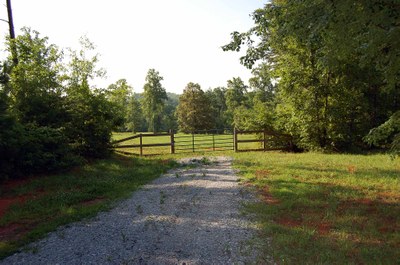 DSC_0228.JPG