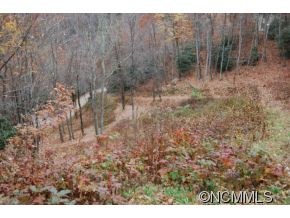 More pasture or building site.jpg