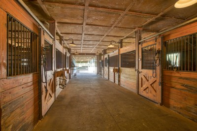 SCF 12