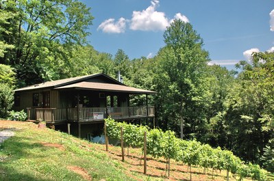 Norton Guest House - Vineyard.jpg