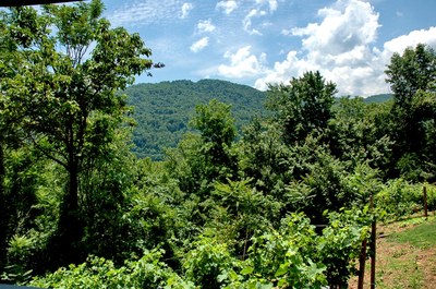 Norton Mountain View.jpg