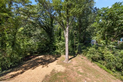 266 Baker St Tryon NC 28782 36