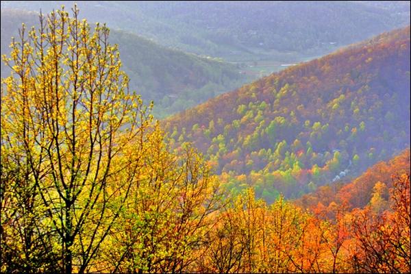 BeautifulFallFoliageinWesternNorthCarolina.jpg