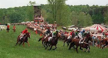 horserace