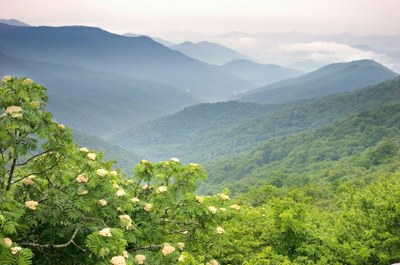 iStock_000001785985greenmtns.jpg