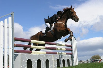 iStock_000003081982horsejump.jpg