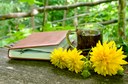 iStock_00000739442journal.jpg