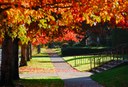 iStock_000011188770autumnsidewalk.jpg